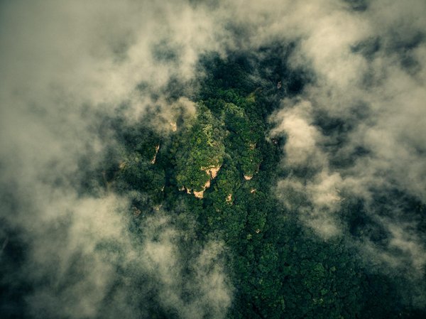 Révolution verte : L'adoption indispensable de l'économie circulaire en agriculture